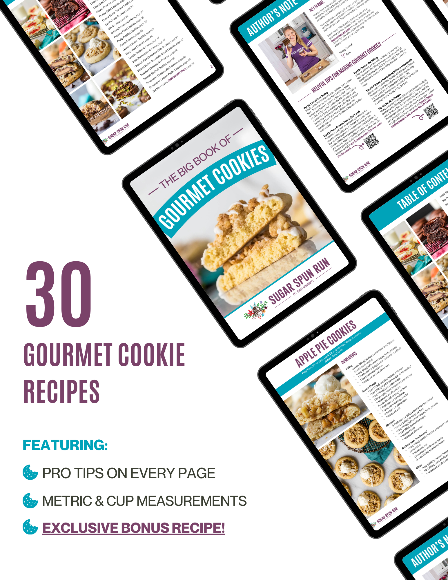 The Big Book of Gourmet Cookies