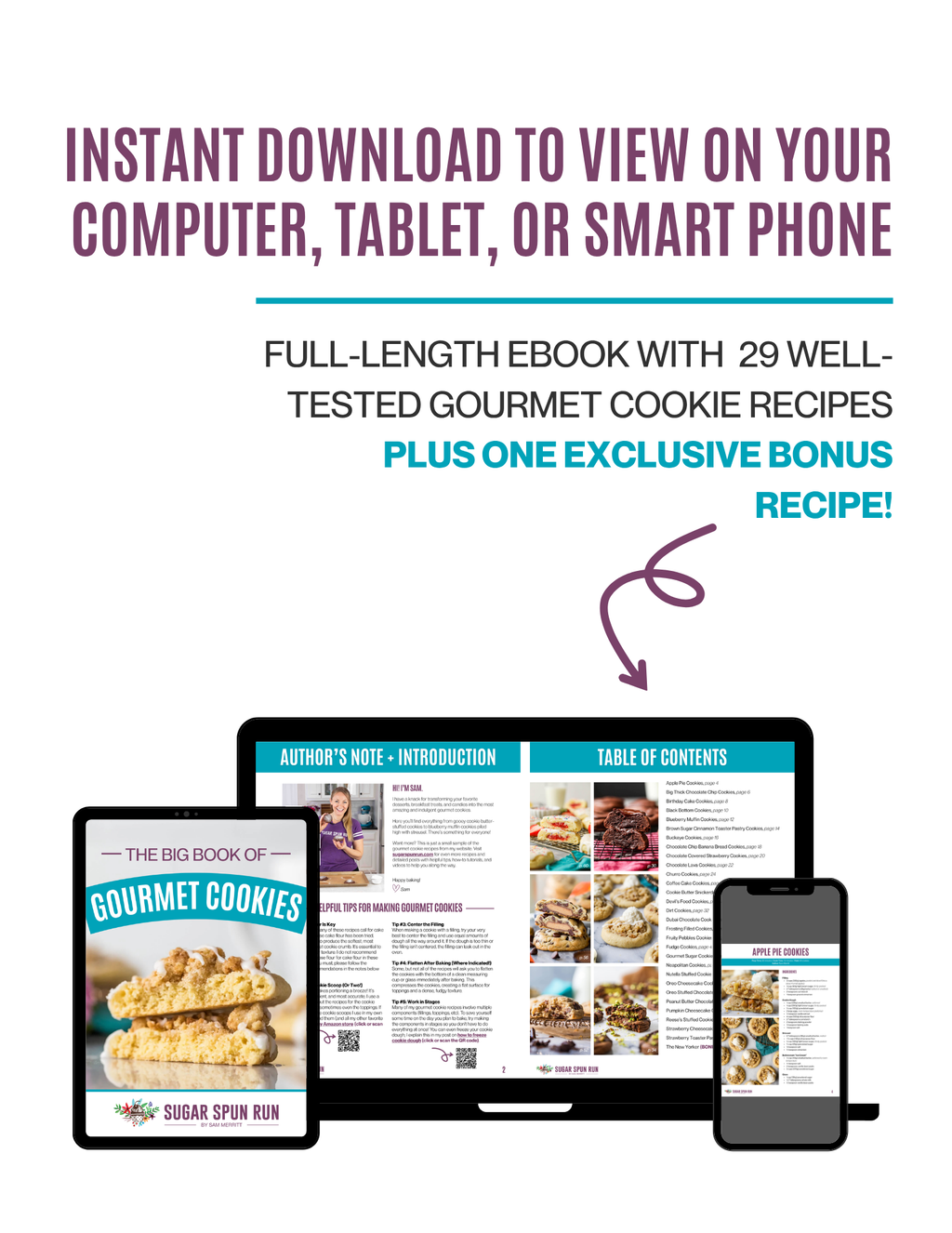 The Big Book of Gourmet Cookies